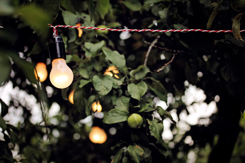 Warm garden view featuring string lights on a tree during twilight for a serene ambiance.