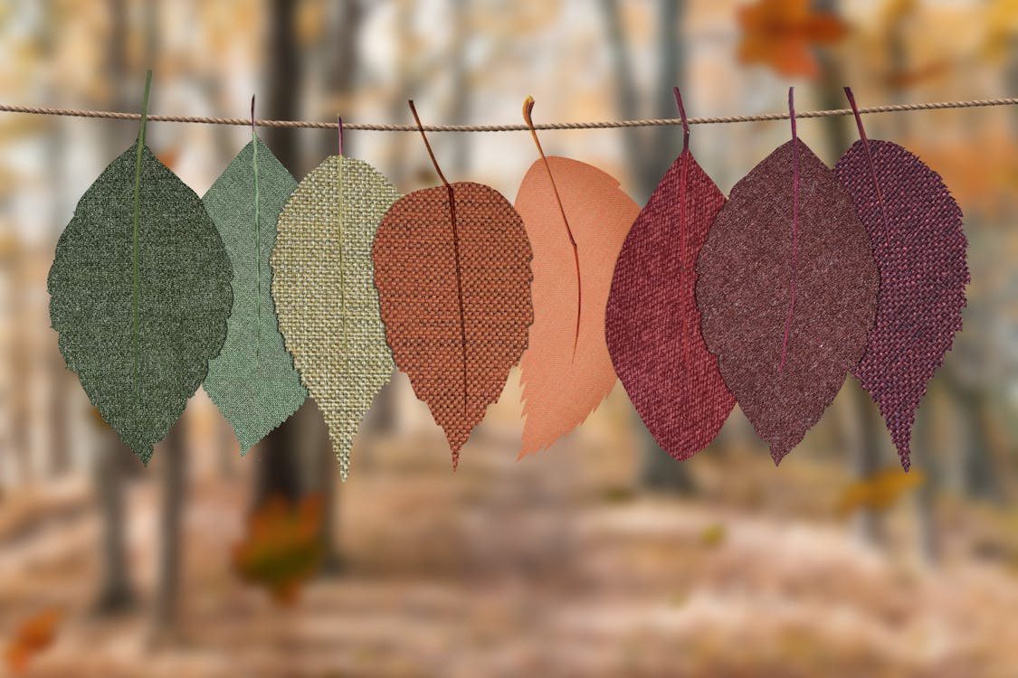 Free Leaves Hang-on Rope Stock Photo