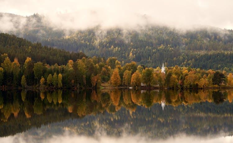 Calm Lake Surrounded By Autumn Trees