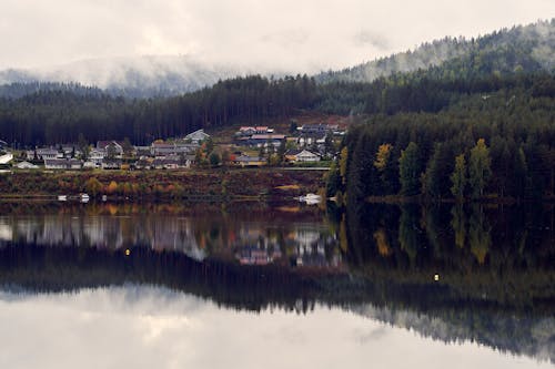 Foto d'estoc gratuïta de aigües tranquil·les, alba, amb boira