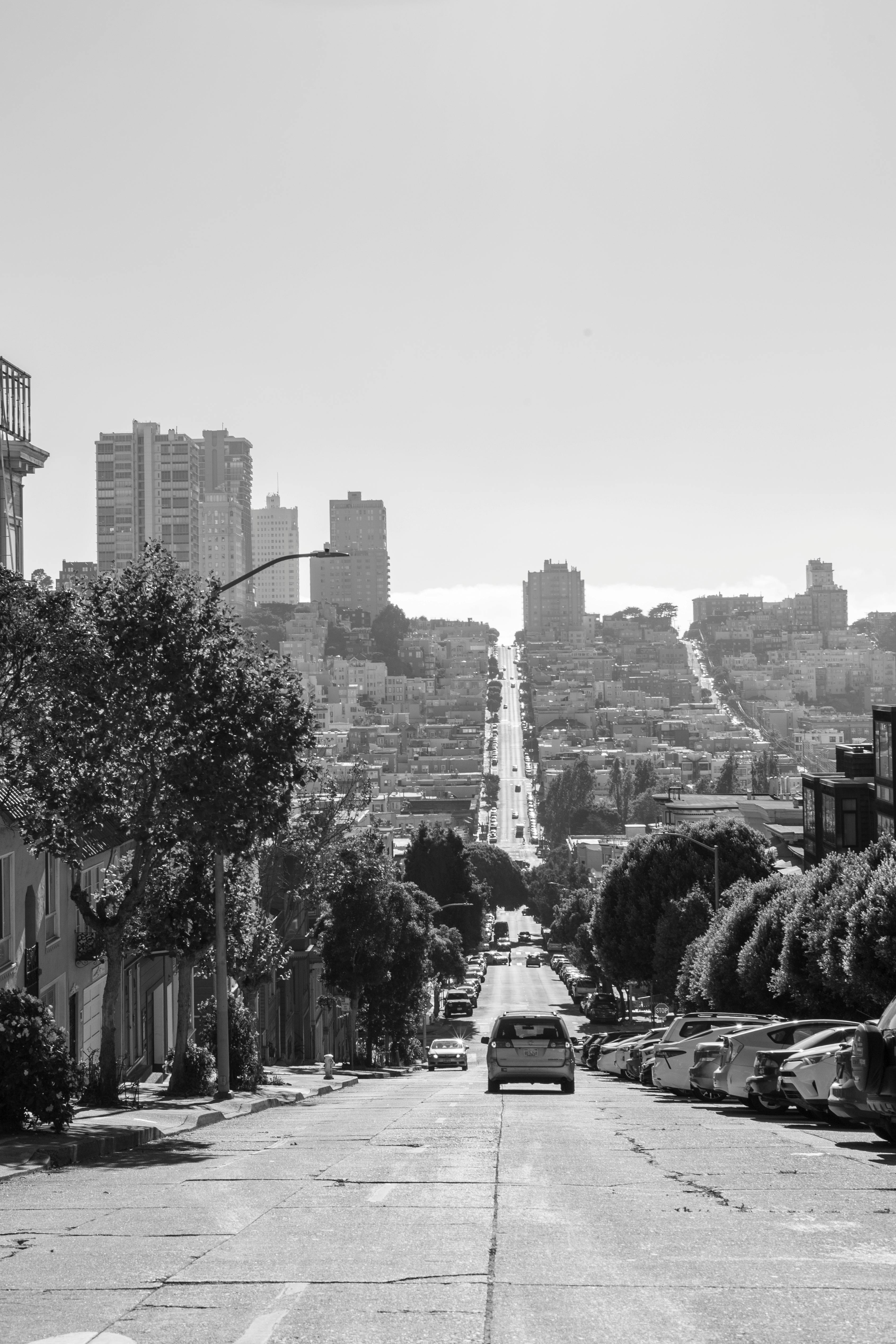 Black and white photo of a hilly urban street lined with trees and buildings, leading to a city skyline.
