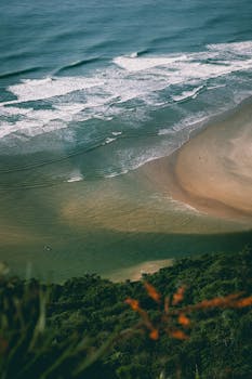 Captivating aerial view of Palhoça beach in Brazil showcasing the waves, shoreline, and lush greenery.