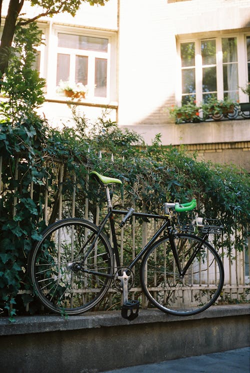 Black Bicycle Parked Beside Green Plant