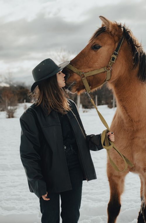 Free A woman wearing a hat interacts with a horse in a snowy field during winter. Stock Photo