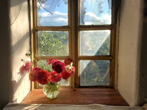 Fotos de stock gratuitas de arreglo floral, florero de vidrio, Flores rojas