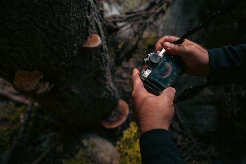 Hands Holding a Digital Camera 