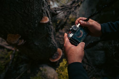 Gratis stockfoto met boom, detailopname, digitale camera