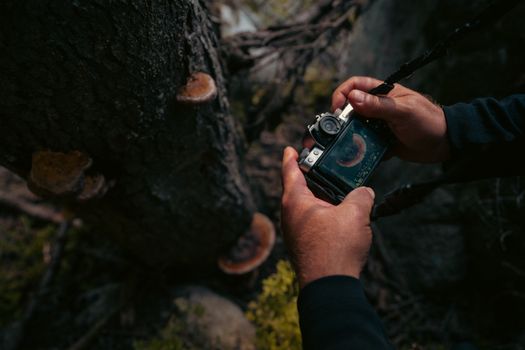 Close-up of a man photographing mushrooms on a tree trunk outdoors in Bursa, Türkiye.