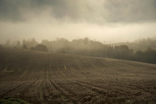 alan, arazi, bulut içeren Ücretsiz stok fotoğraf