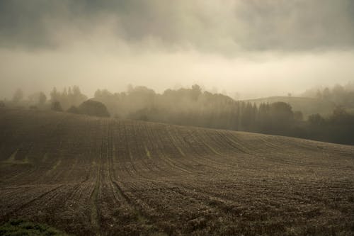 Cloud over Rural Field