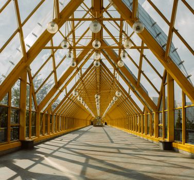 Bridge with a Glass Ceiling 