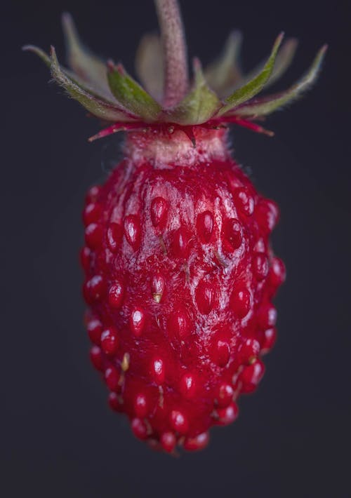 Red Strawberry Fruit in Close-Up Photography