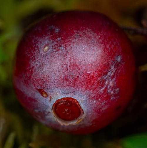 Close up of a Fruit 