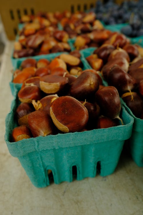 Fresh chestnuts