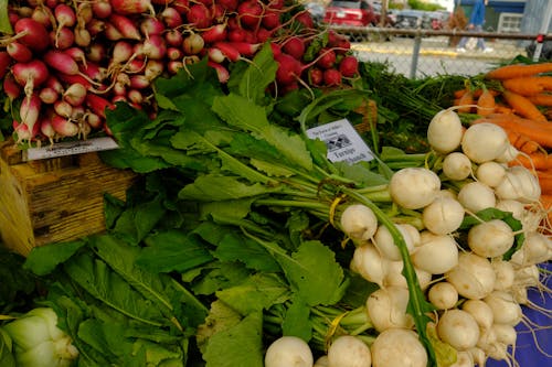 Fresh turnip and radishes