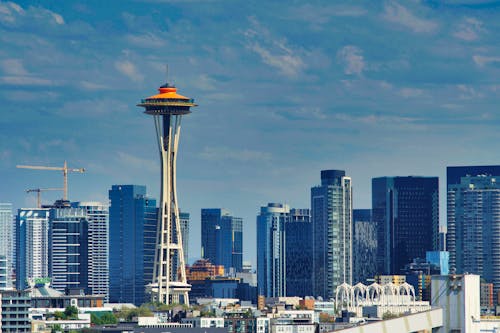Seattle Skyline Featuring the Space Needle