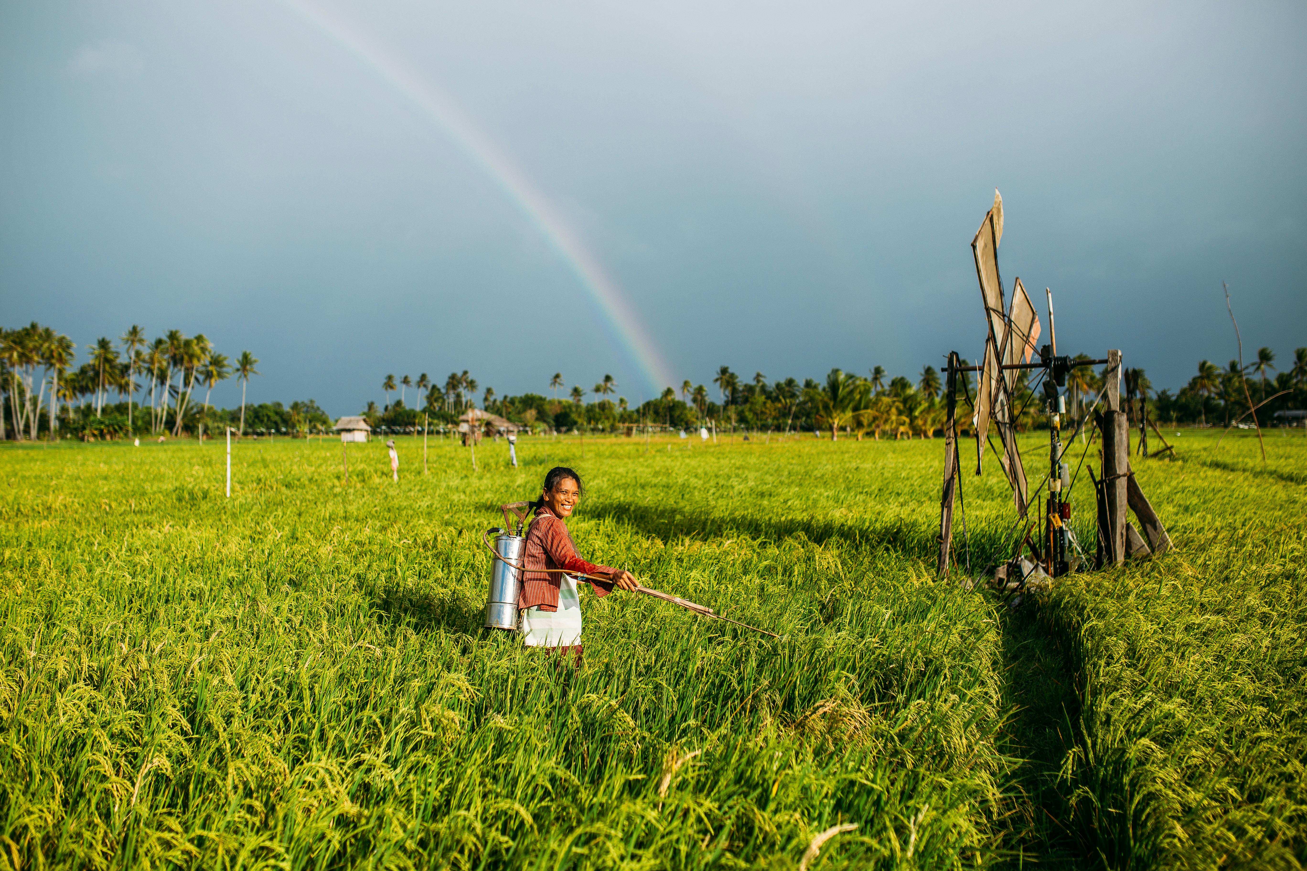 Free stock photo of farmer, people, rainbow