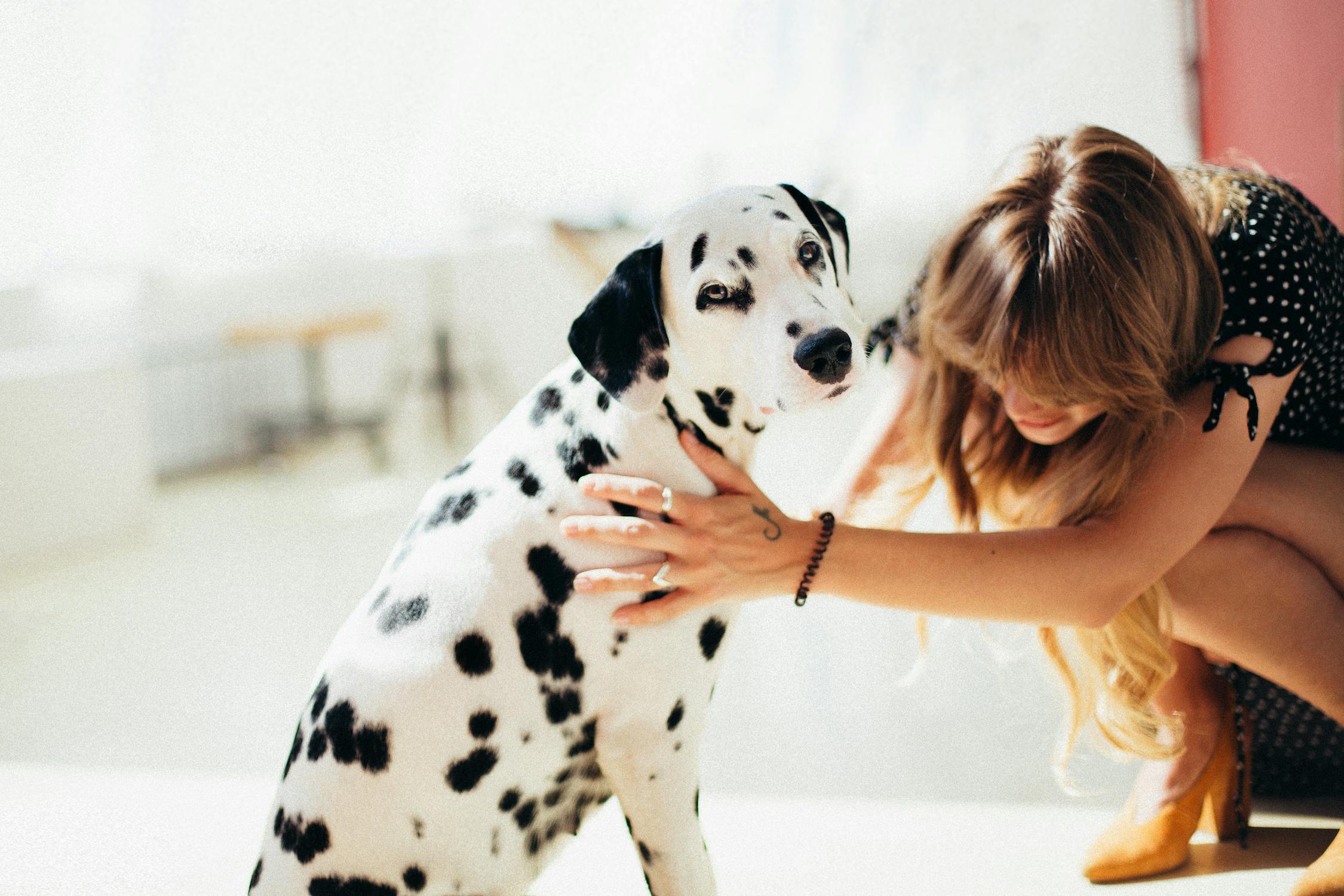 Woman interacting with Dalmation