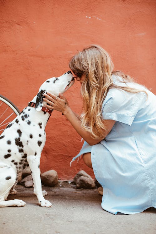 Show your love to dogs by taking them on walks!