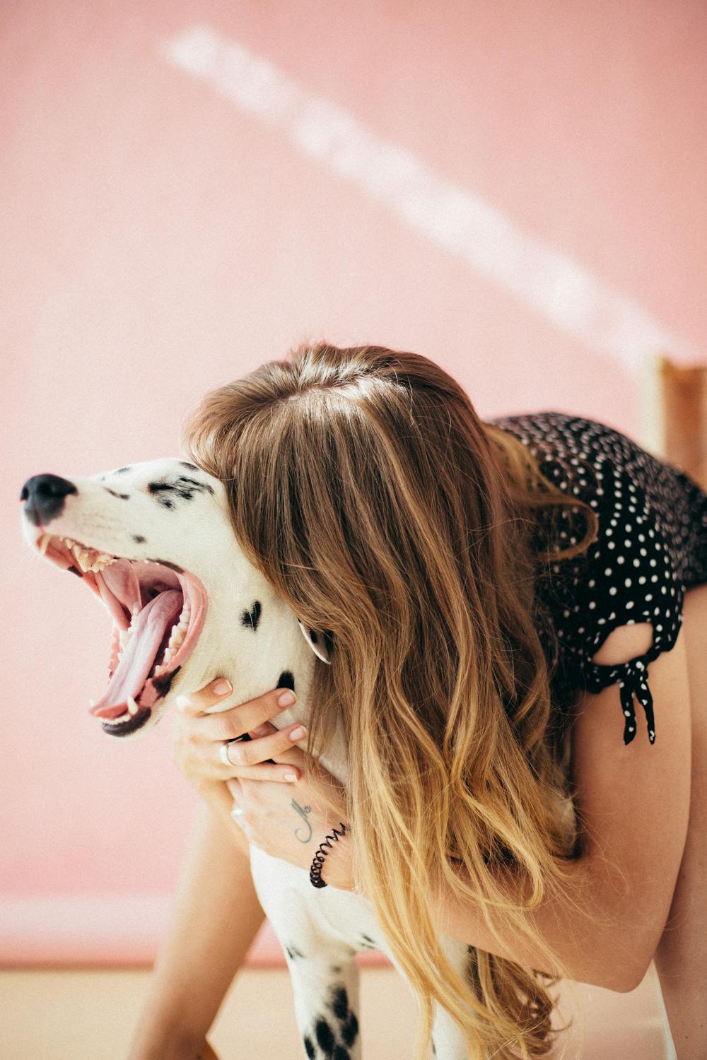 Woman hugging Dalmatian