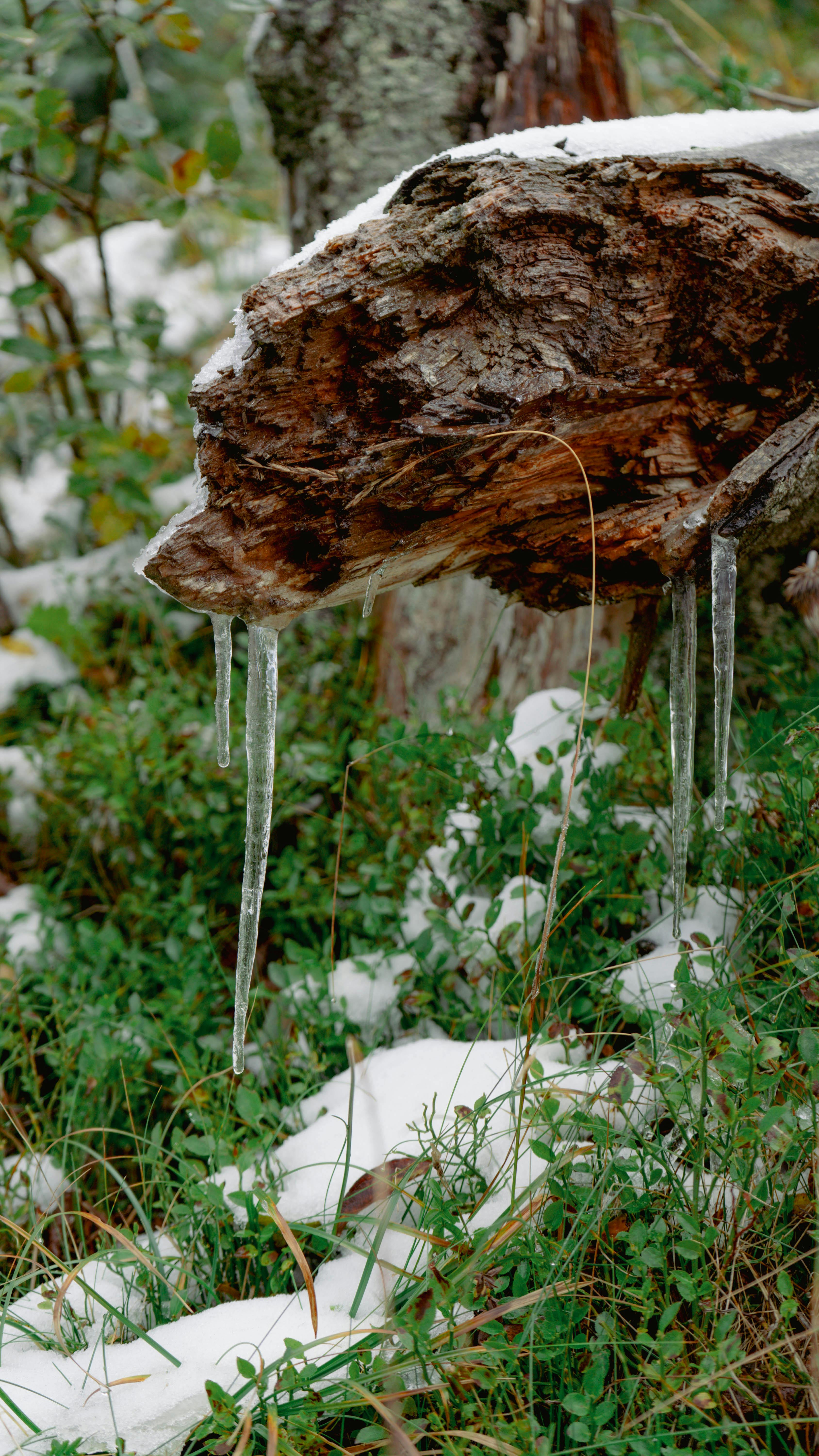 Varanasi extension—sunrise boat, ghat yoga, evening Aarti