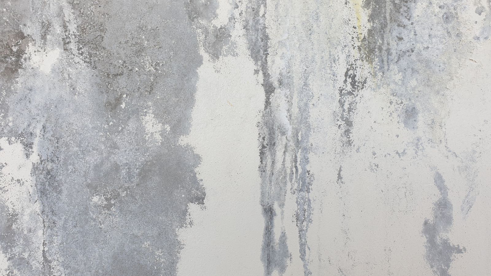 Close-up of a weathered concrete wall