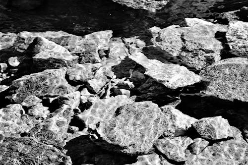 Grayscale Photo of Rocks Underwater