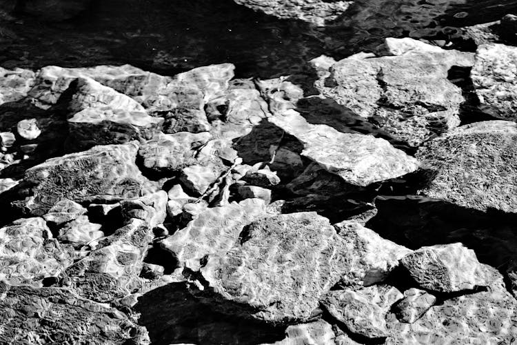 Grayscale Photo Of Rocks Underwater