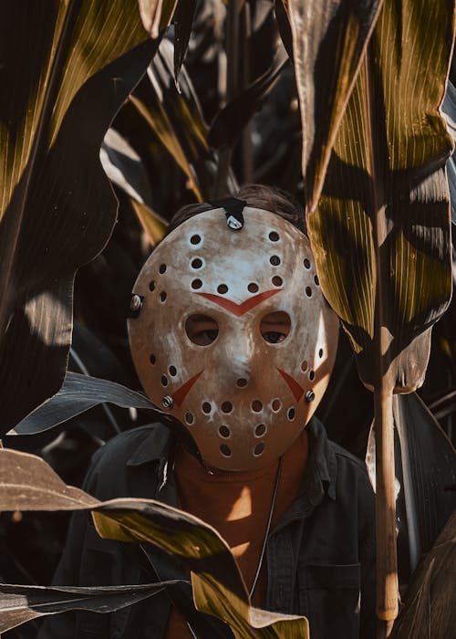 A Boy in a Jason Voorhees Halloween Mask Standing in a Corn Field 