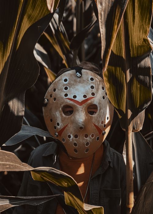 Free A child wearing a Jason Voorhees mask stands in a cornfield, evoking a spooky Halloween atmosphere. Stock Photo