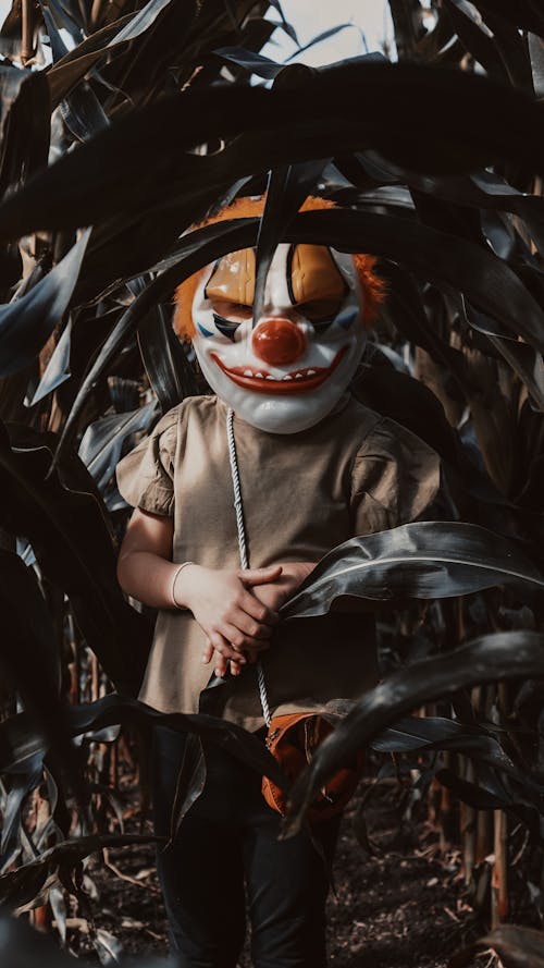 Person Wearing a Spooky Mask Standing in the Corn Field 