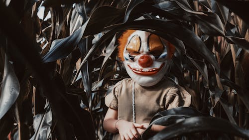 Girl Wearing a Scary Clown Halloween Mask Standing in a Corn Field 