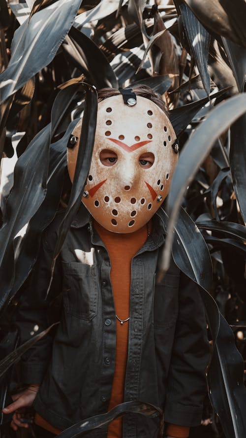 A Boy in a Jason Voorhees Halloween Mask Standing in a Corn Field 