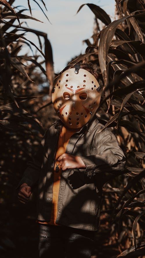 Man Wearing a Spooky Mask Standing in a Corn Field 