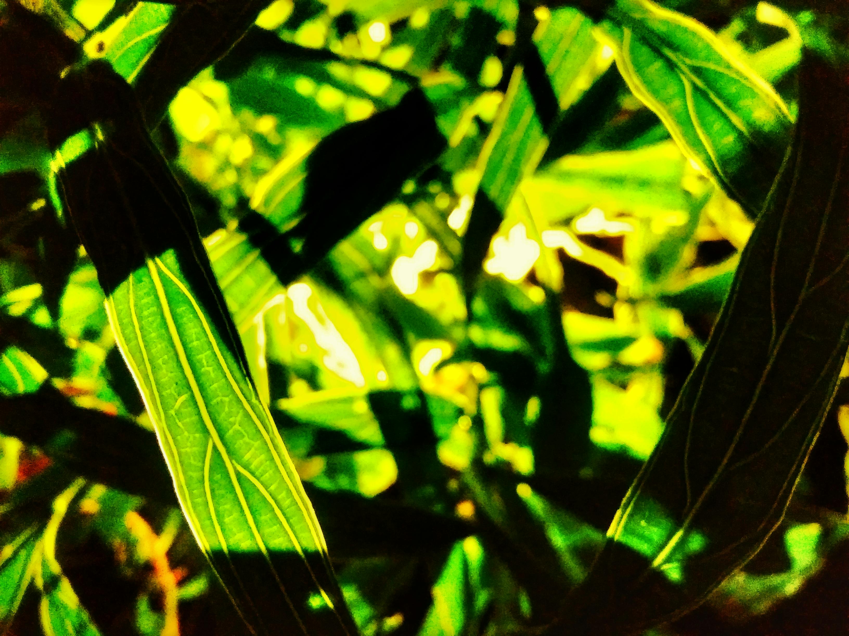 リバプール ユニフォーム gk安く 買う