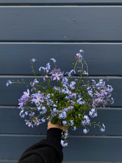 Hand Holding Wildflowers Bouquet