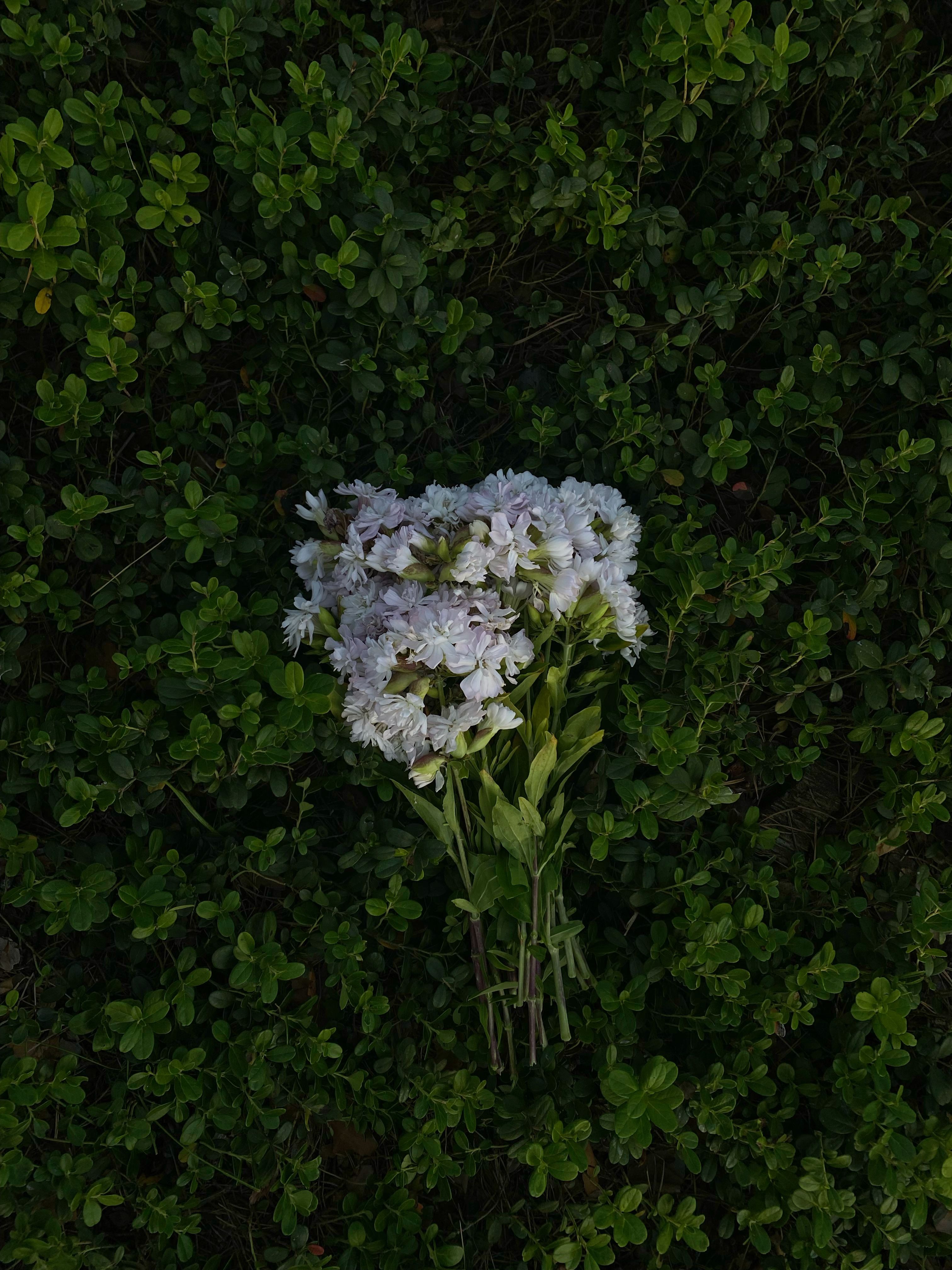 A bouquet of wildflowers resting on a vibrant green background, captured from above in natural light.