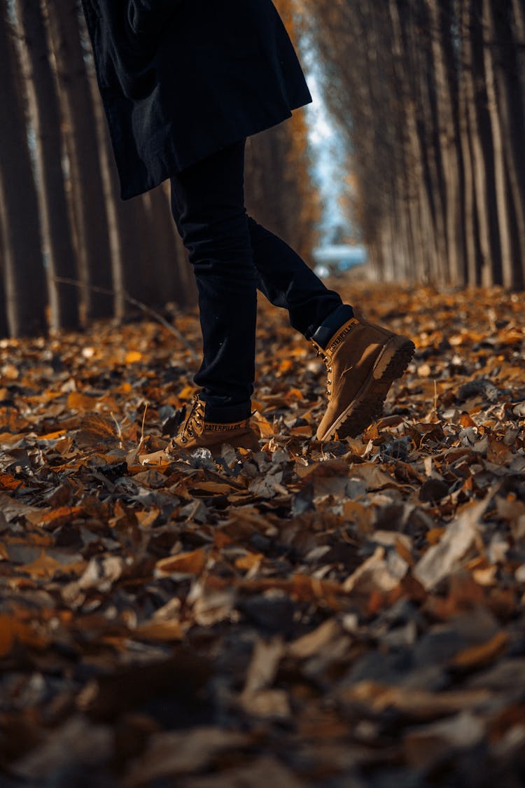 Close-up Of The Feet Of A Man Walking In The Forest 