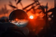 通过水晶球捕捉日落美景，呈现出独特的艺术视角