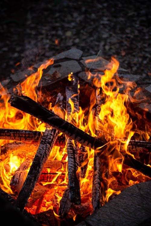 Bonfire Burning in the Dark 