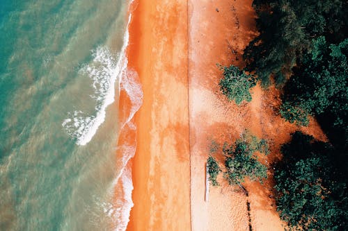 Free Aerial Photography of Body Ocean Near Trees Stock Photo