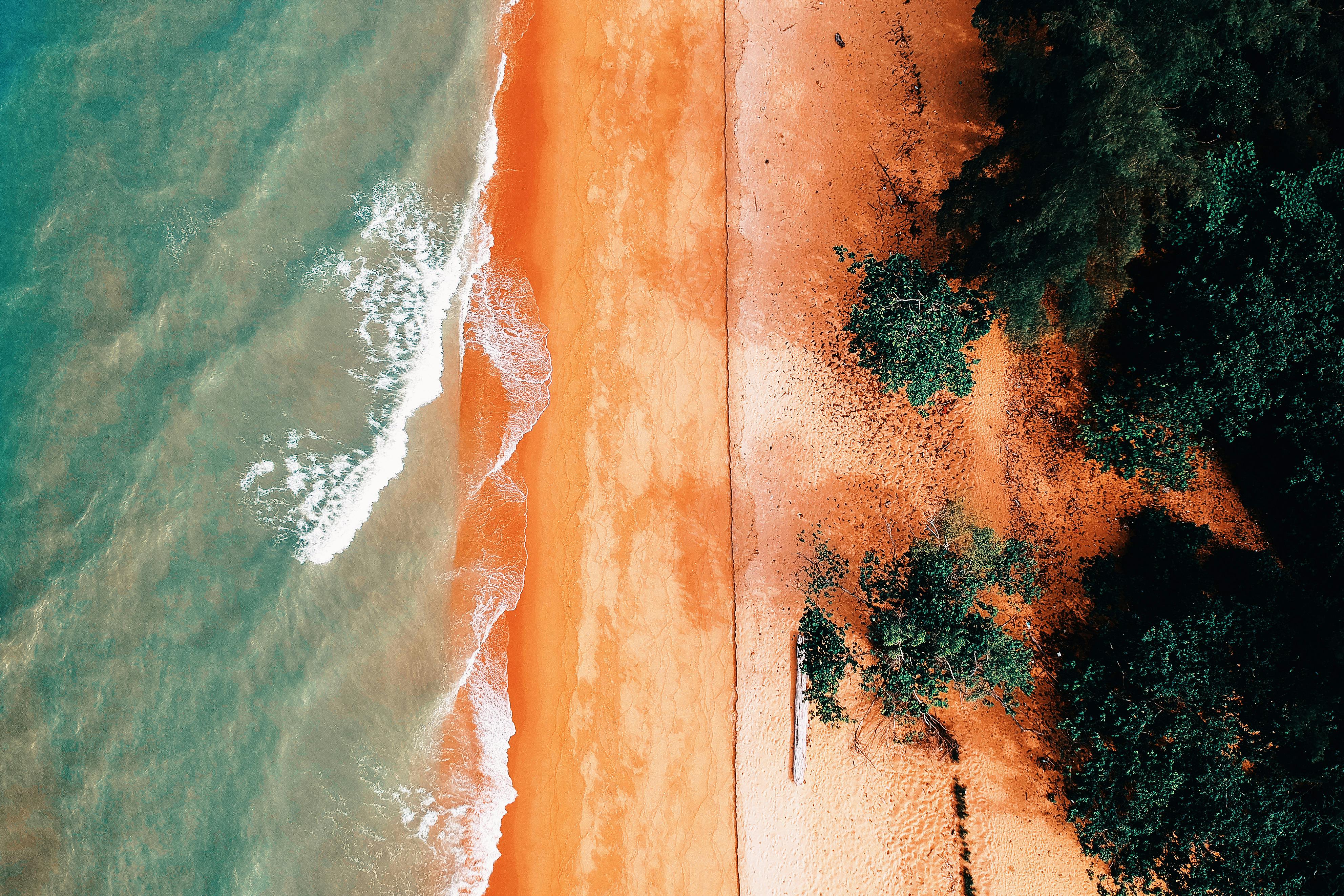 Aerial Photography Of Body Ocean Near Trees Free Stock Photo