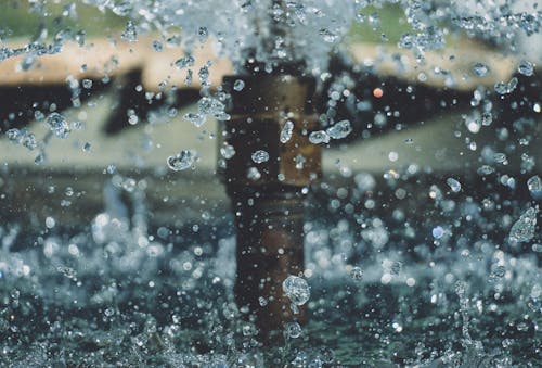 Free Photo of Water Drops Stock Photo