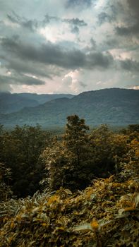 Image by Kiran P