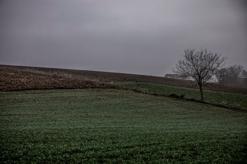 Rural Landscape at Dusk 