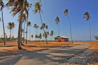 晴朗的蓝天下，热带海滩上生长着棕榈树，坐落着房屋