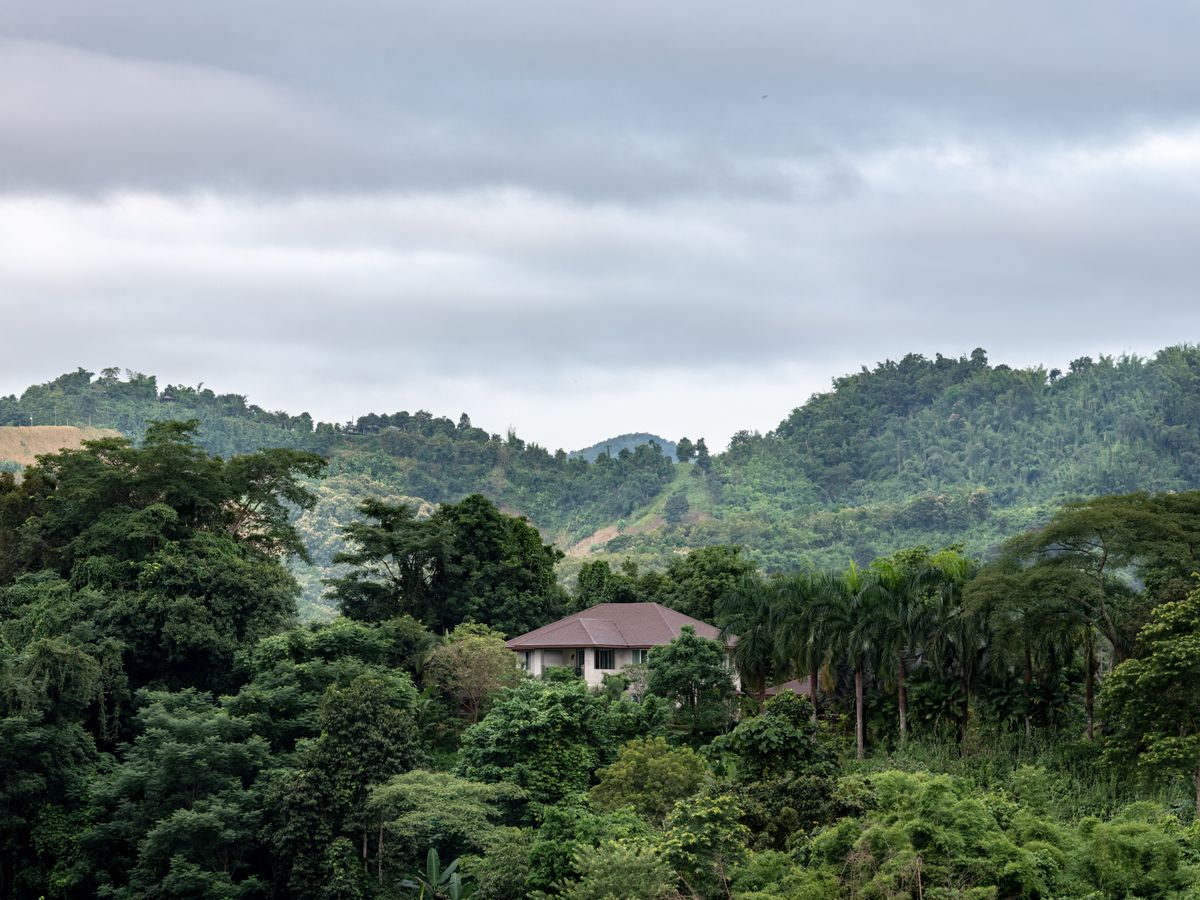 7 Day VIP Muay Thai Yoga & Wellness Retreat in Thailand 2