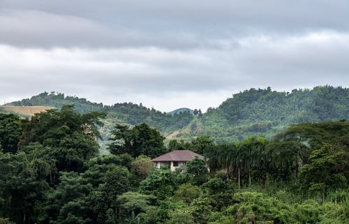 Free Explore the lush green mountains and serene landscapes of Mueang Chiang Rai, Thailand. Stock Photo