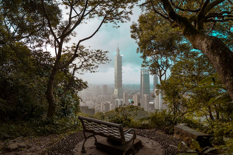 Bench On Hill With View On Modern City