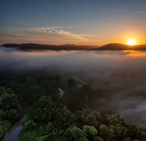 View of a Forest at Sunrise 